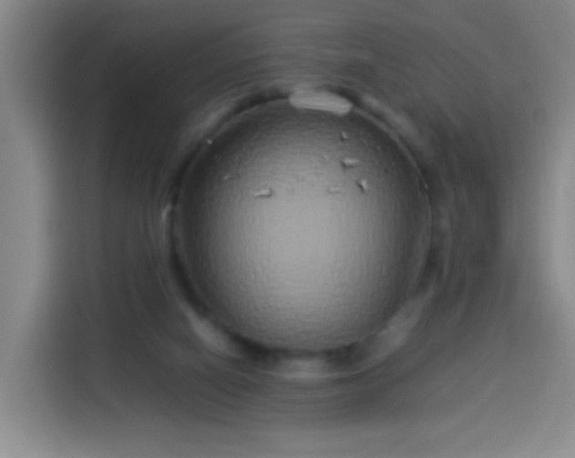 X0000113930066200910021250