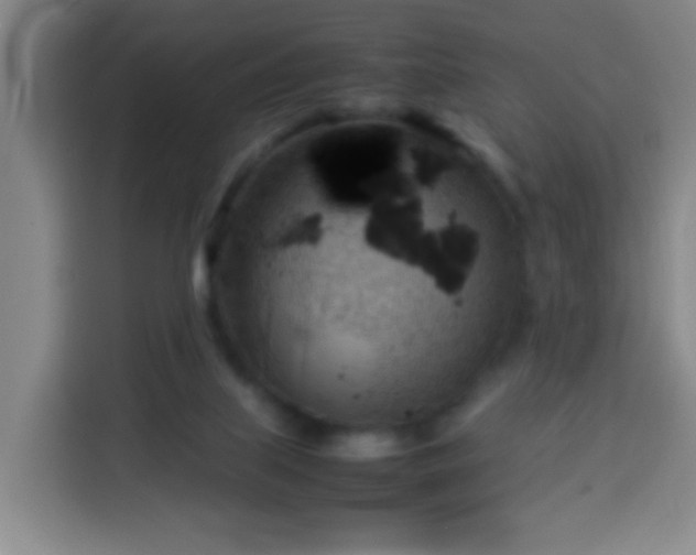 X0000113930067200910021250