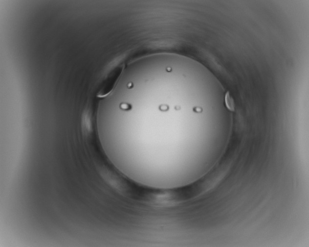 X0000113930068200910021250