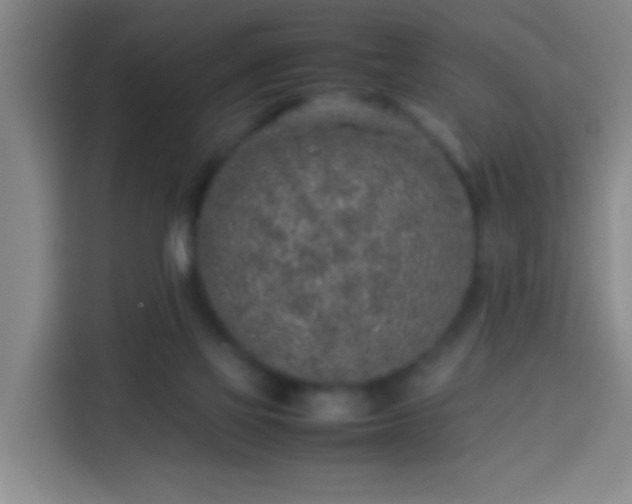 X0000113930069200910021250