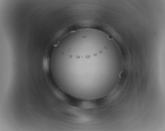 X0000113930070200910021250