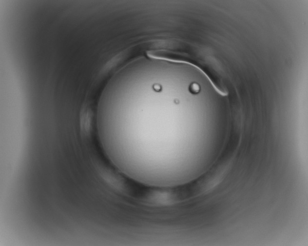 X0000113930071200910021250