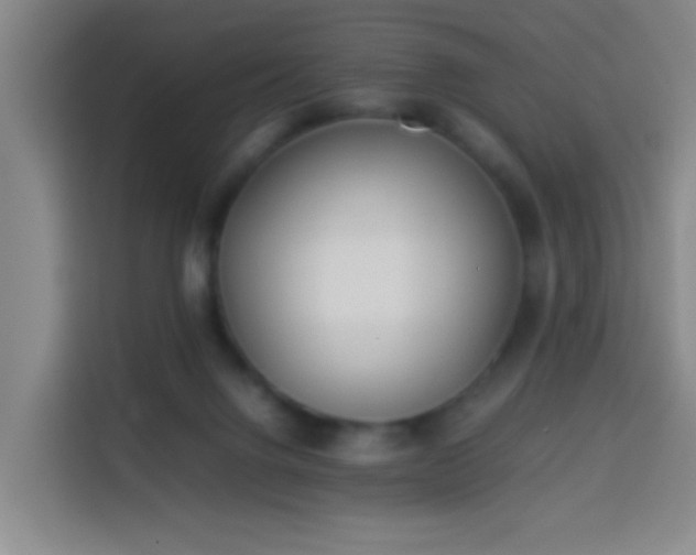 X0000113930072200910021251