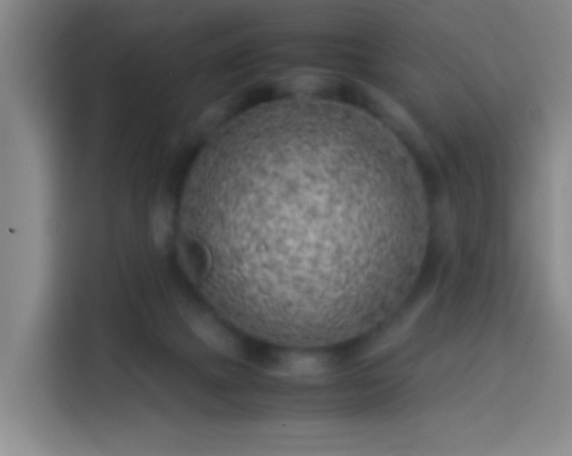 X0000113930073200910021251