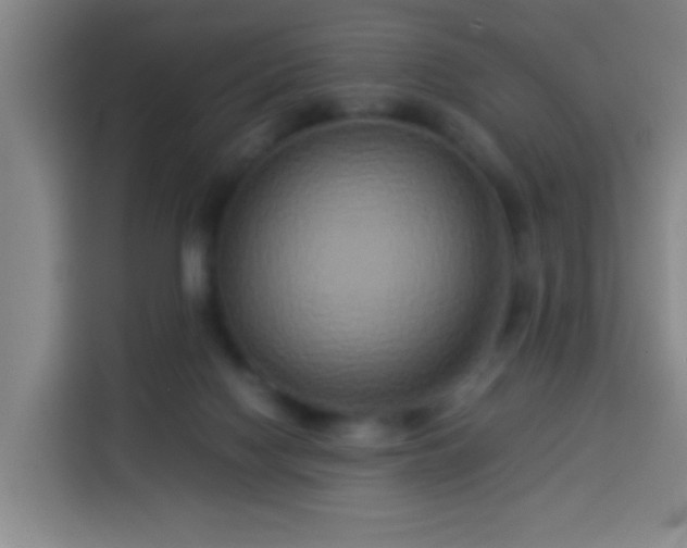 X0000113930074200910021251