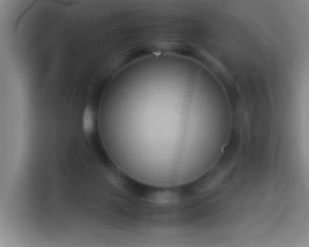 X0000113930075200910021251