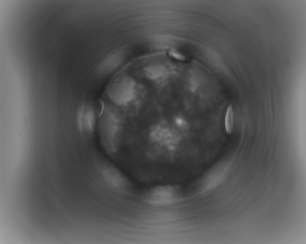 X0000113930076200910021251