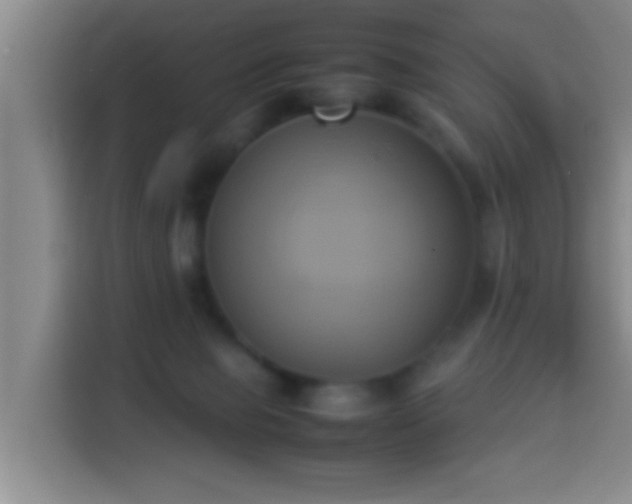 X0000113930077200910021251