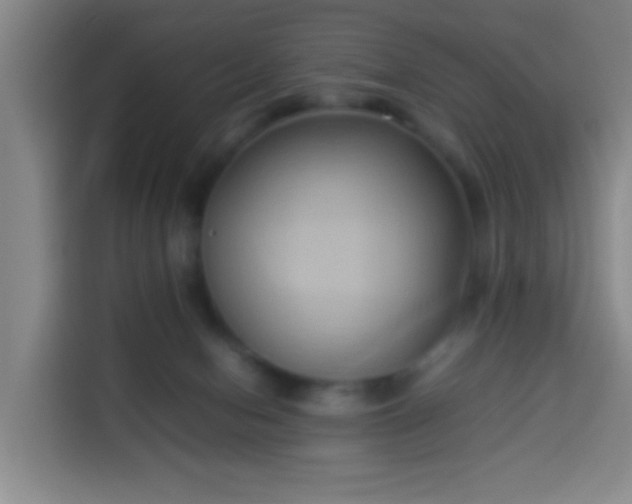 X0000113930078200910021251