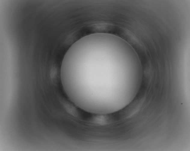 X0000113930079200910021251