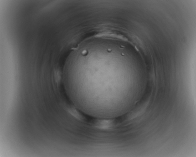 X0000113930081200910021251