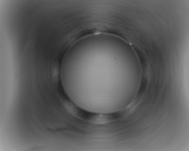 X0000113930082200910021251