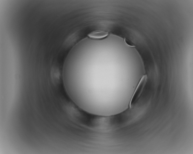 X0000113930084200910021251