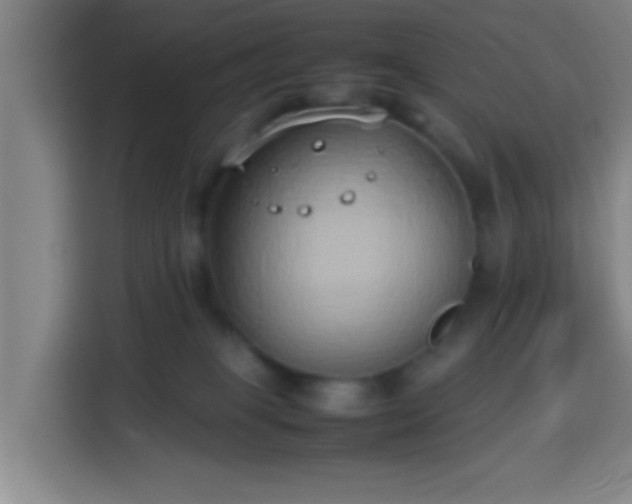 X0000113930085200910021251