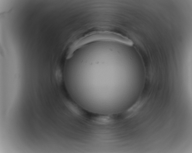 X0000113930086200910021251