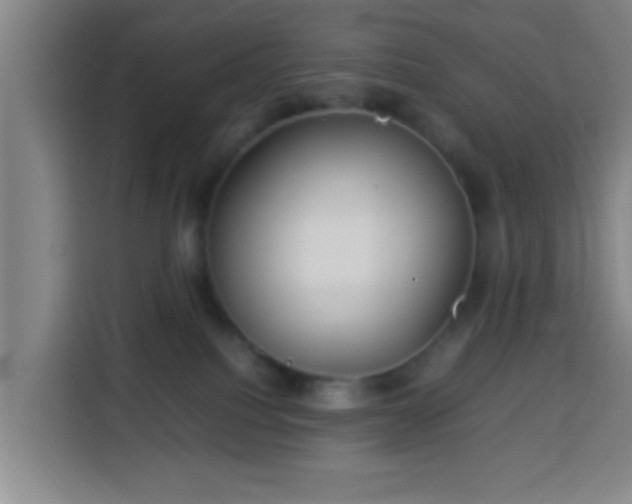 X0000113930088200910021251