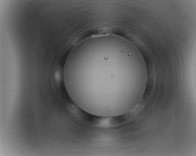 X0000113930090200910021251