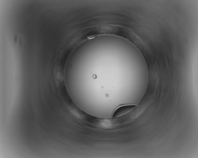 X0000113930091200910021251