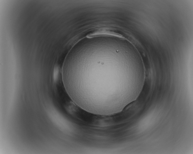 X0000113930095200910021251