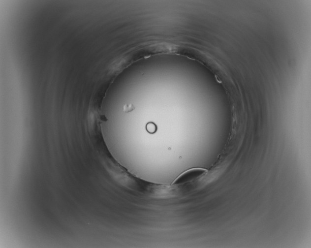 X0000113930096200910021251