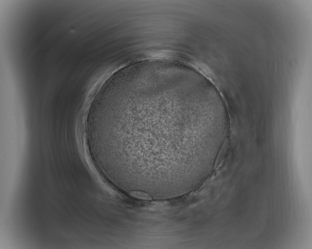 X0000113930097200910021250