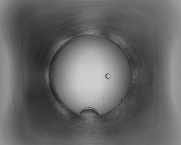 X0000113930098200910021250