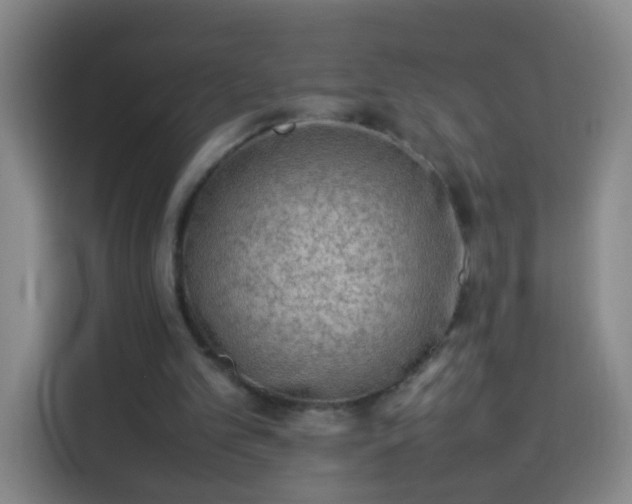 X0000113930101200910021250