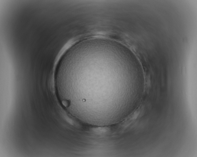 X0000113930102200910021250