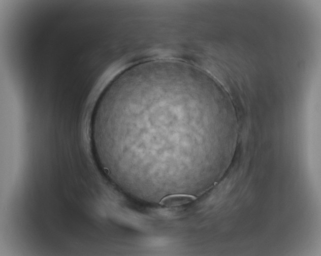 X0000113930103200910021250