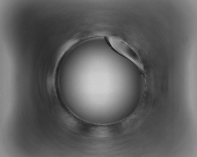 X0000113930104200910021250