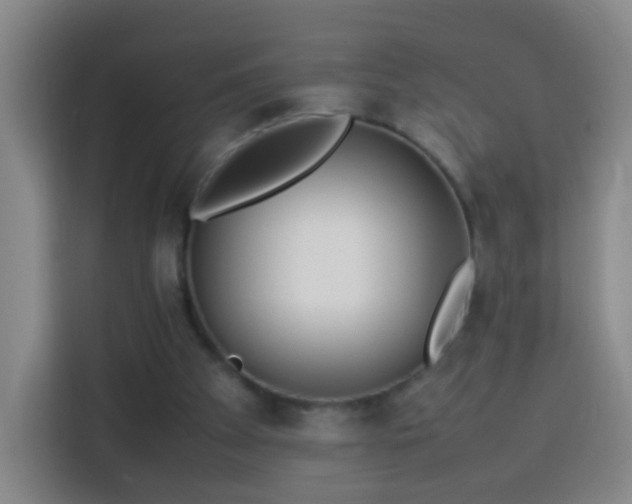 X0000113930105200910021250