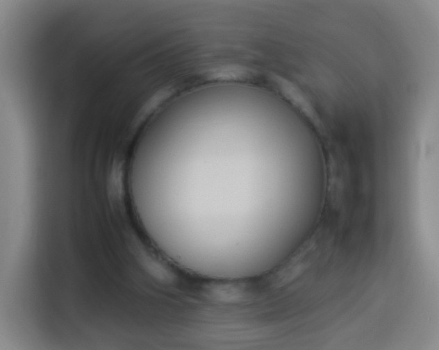 X0000113930106200910021250