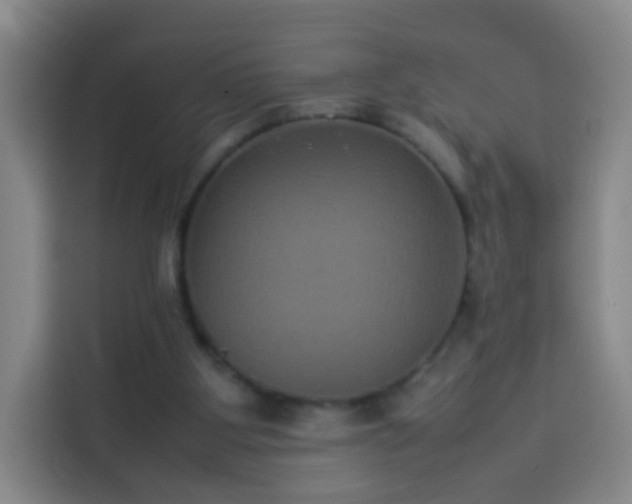 X0000113930107200910021250