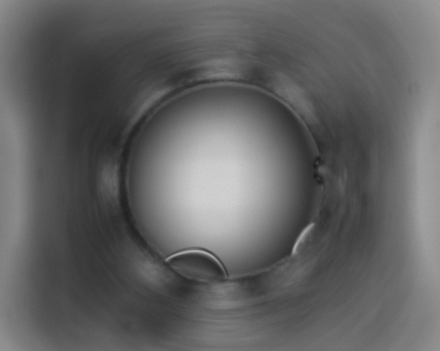 X0000113930108200910021250