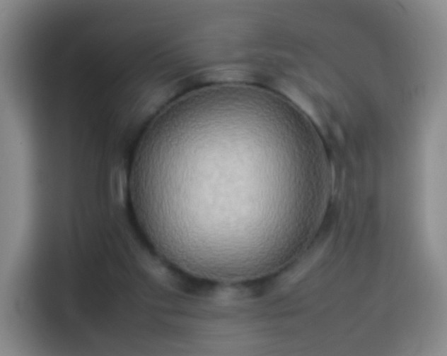 X0000113930109200910021250