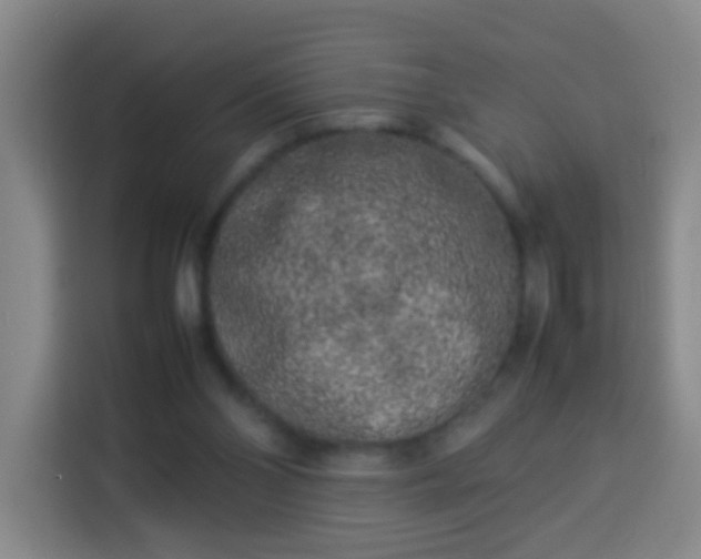 X0000113930110200910021250