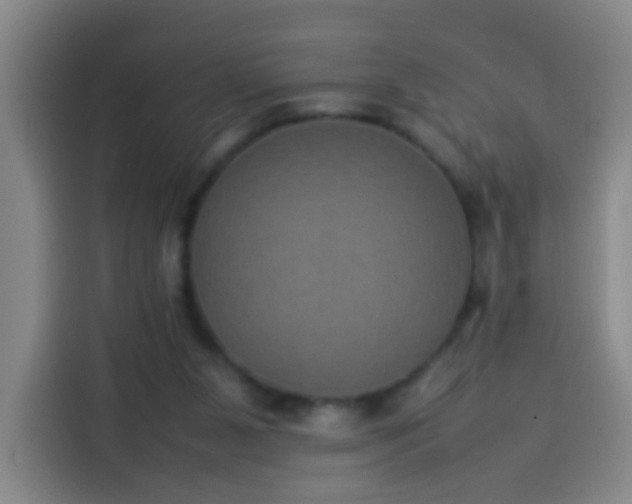 X0000113930111200910021250