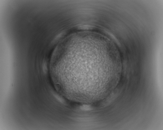 X0000113930114200910021250