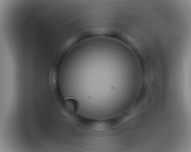 X0000113930115200910021250