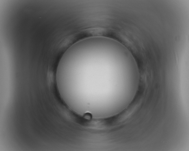 X0000113930117200910021250