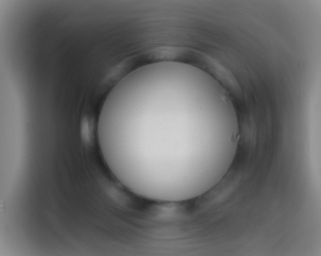 X0000113930118200910021250