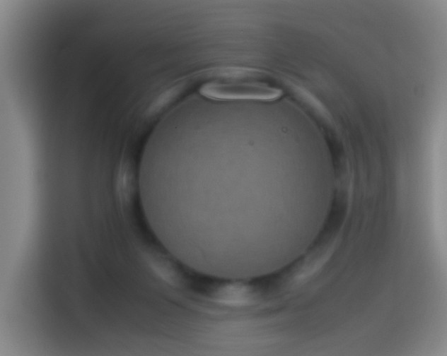 X0000113930119200910021250