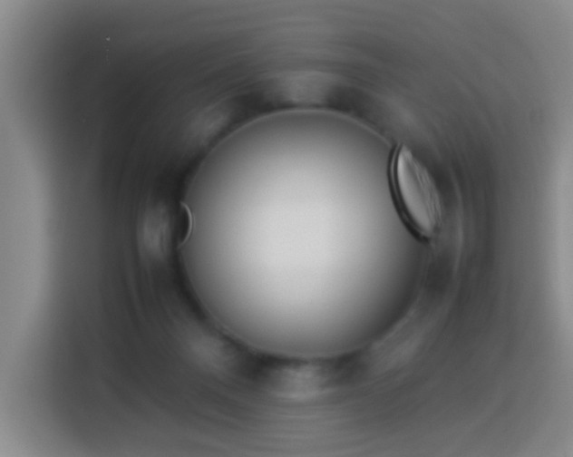 X0000113930120200910021250