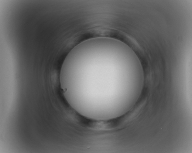 X0000113930121200910021250