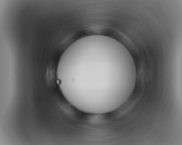 X0000113930122200910021250