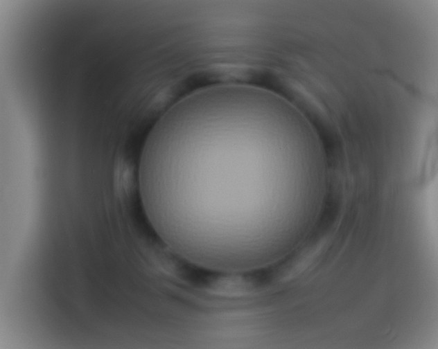 X0000113930123200910021250