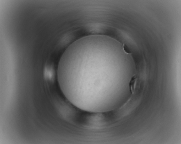 X0000113930124200910021250