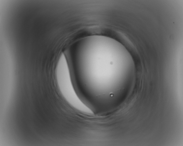 X0000113930125200910021250