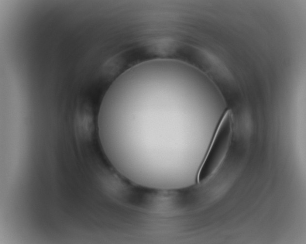 X0000113930128200910021250