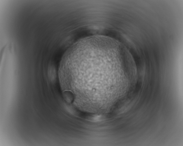 X0000113930130200910021250